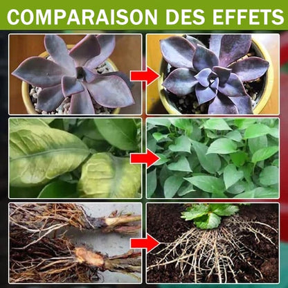 🔥Ventes chaudes - 49% de réduction☘️Supplément favorisant la croissance des plantes